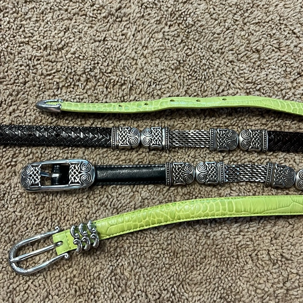 Brighton Belts XL 36